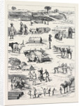 The Indian Famine, Sketches in the Affected Districts, by a Member of the Famine Relief Staff by Anonymous