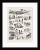The Indian Famine, Sketches in the Affected Districts, by a Member of the Famine Relief Staff by Anonymous
