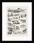 The Indian Famine, Sketches in the Affected Districts, by a Member of the Famine Relief Staff by Anonymous
