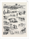 The Indian Famine, Sketches in the Affected Districts, by a Member of the Famine Relief Staff by Anonymous