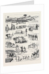 The Indian Famine, Sketches in the Affected Districts, by a Member of the Famine Relief Staff by Anonymous