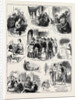 The Water Cure Jottings at a Hydropathic Establishment by Anonymous