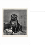 Beauty and the Beast, from the Drawing by John Charlton in the Black and White Exhibition by Anonymous