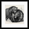 The Kiss of Peace, Zoological Gardens by Anonymous