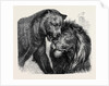 The Kiss of Peace, Zoological Gardens by Anonymous