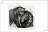 The Kiss of Peace, Zoological Gardens by Anonymous