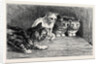 An Exciting Tail, from the Drawing by Percy Macquoid in the Black and White Exhibition by Anonymous