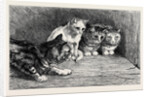 An Exciting Tail, from the Drawing by Percy Macquoid in the Black and White Exhibition by Anonymous