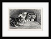 An Exciting Tail, from the Drawing by Percy Macquoid in the Black and White Exhibition by Anonymous