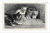 An Exciting Tail, from the Drawing by Percy Macquoid in the Black and White Exhibition by Anonymous