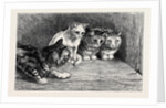 An Exciting Tail, from the Drawing by Percy Macquoid in the Black and White Exhibition by Anonymous
