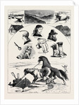 The Millenial Festival in Iceland, August 29, 1874 by Anonymous