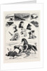 The Millenial Festival in Iceland, August 29, 1874 by Anonymous
