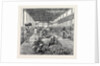 The Ceylon Pearl Fishery, the Government Kottoo by Anonymous