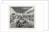 The Ceylon Pearl Fishery, the Government Kottoo by Anonymous