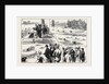 Swimming Match in the Thames for the Amateur Championship by Anonymous