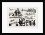 Swimming Match in the Thames for the Amateur Championship by Anonymous