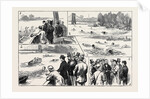 Swimming Match in the Thames for the Amateur Championship by Anonymous