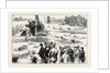 Swimming Match in the Thames for the Amateur Championship by Anonymous