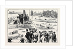 Swimming Match in the Thames for the Amateur Championship by Anonymous
