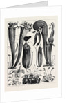 Carnivorous Plants in the Royal Botanic Gardens, Kew, London by Anonymous