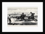 Garrison Athletics at the Curragh Camp, Sword V. Lance by Anonymous