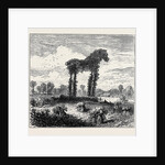 A Vegetable Horse, Curious Natural Phenomenon at Datchet by Anonymous