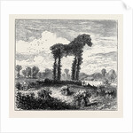 A Vegetable Horse, Curious Natural Phenomenon at Datchet by Anonymous