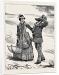 Image Accompanying the Law and the Lady: A Novel, Chapter IV, on the Way Home by Anonymous