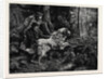 Catching a Poacher by Anonymous