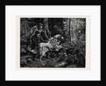 Catching a Poacher by Anonymous