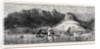 The Annexation of the Fiji Islands: View of Levuka from the Anchorage by Anonymous