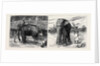 Elephant Hunting in Ceylon: A Tame Elephant Dragging Timber, A Sacred Elephant and His Keeper by Anonymous