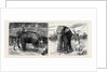 Elephant Hunting in Ceylon: A Tame Elephant Dragging Timber, A Sacred Elephant and His Keeper by Anonymous