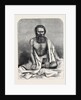 The Alleged Nana Sahib, Arrested by the Maharajah of Scindia at Gwalior by Anonymous
