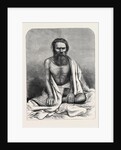 The Alleged Nana Sahib, Arrested by the Maharajah of Scindia at Gwalior by Anonymous
