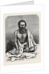 The Alleged Nana Sahib, Arrested by the Maharajah of Scindia at Gwalior by Anonymous