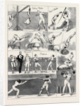 Notes at the Annual Assault of Arms of the London Athletic Club, December 5, 1874 by Anonymous