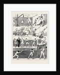 Notes at the Annual Assault of Arms of the London Athletic Club, December 5, 1874 by Anonymous