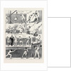 Notes at the Annual Assault of Arms of the London Athletic Club, December 5, 1874 by Anonymous