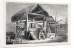 The Forthcoming Transit of Venus: Shed at Honolulu from which the Model of Venus is Observed, and One of the Portable Transit Instruments by Anonymous
