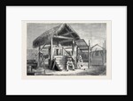 The Forthcoming Transit of Venus: Shed at Honolulu from which the Model of Venus is Observed, and One of the Portable Transit Instruments by Anonymous