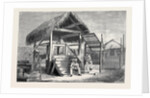 The Forthcoming Transit of Venus: Shed at Honolulu from which the Model of Venus is Observed, and One of the Portable Transit Instruments by Anonymous