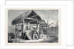 The Forthcoming Transit of Venus: Shed at Honolulu from which the Model of Venus is Observed, and One of the Portable Transit Instruments by Anonymous