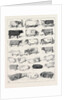 The Cattle Show at Islington, Some of the Prize Winners by Anonymous