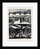 The Crisis in Egypt, the Voyage of H.M.S. Troopship Orontes by Anonymous