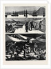 The Crisis in Egypt, the Voyage of H.M.S. Troopship Orontes by Anonymous