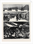 The Crisis in Egypt, the Voyage of H.M.S. Troopship Orontes by Anonymous