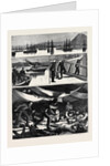 The Crisis in Egypt, the Voyage of H.M.S. Troopship Orontes by Anonymous
