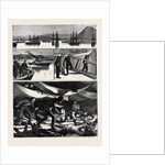 The Crisis in Egypt, the Voyage of H.M.S. Troopship Orontes by Anonymous